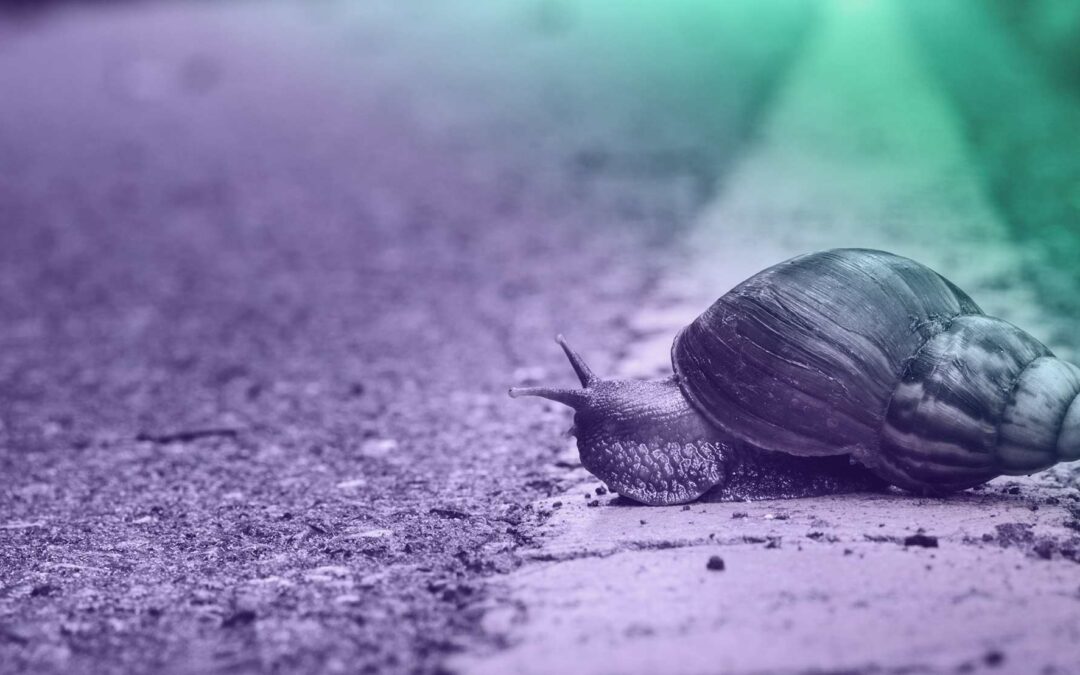 Antitrust: Congressional Snail versus the Enforcement Tortoise