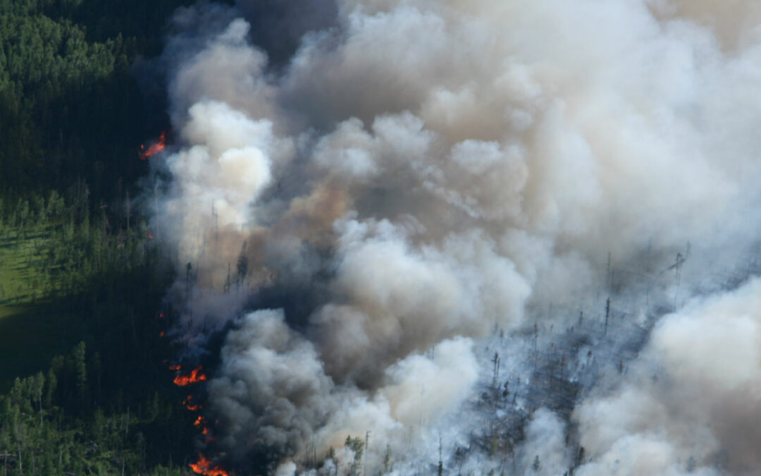 Devising a Strategy for a US Defense Company to Establish a Marketplace Presence for Its Advanced Suite of Technology Tools to Help the Firefighting Community Deal with Growing Wildfire Risks