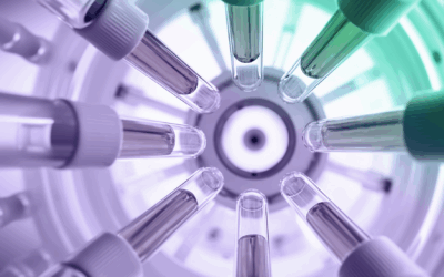 Fertility Market Gets Boost From Trump Administration Guidance