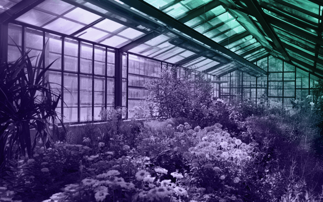 Fertility Market Gets Boost From Trump Administration Guidance