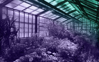 Fertility Market Gets Boost From Trump Administration Guidance