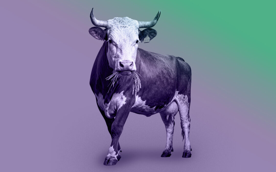 Food Fights: SNAP Cuts, Trade Shocks, and the New Agricultural Order