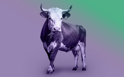 Food Fights: SNAP Cuts, Trade Shocks, and the New Agricultural Order