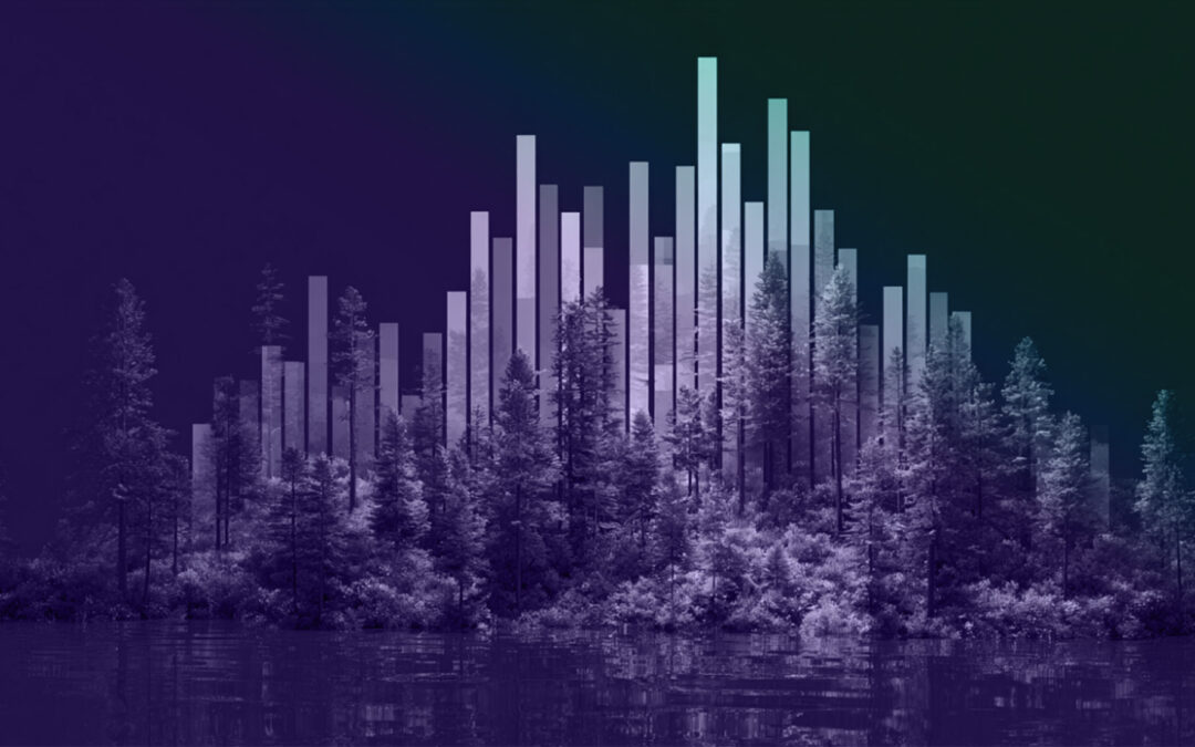 The Coming Volatility: Why Affordability Concerns and an Evolving Policy Landscape will Shake Up Environmental Commodity Markets