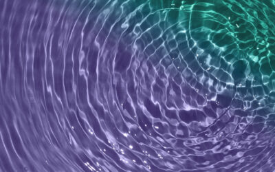 Ripple Effects of Immigration: Why Labor Shortages and Wage Reform Loom