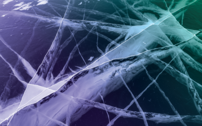 The Growing Antitrust Risk for Pricing Software Firms