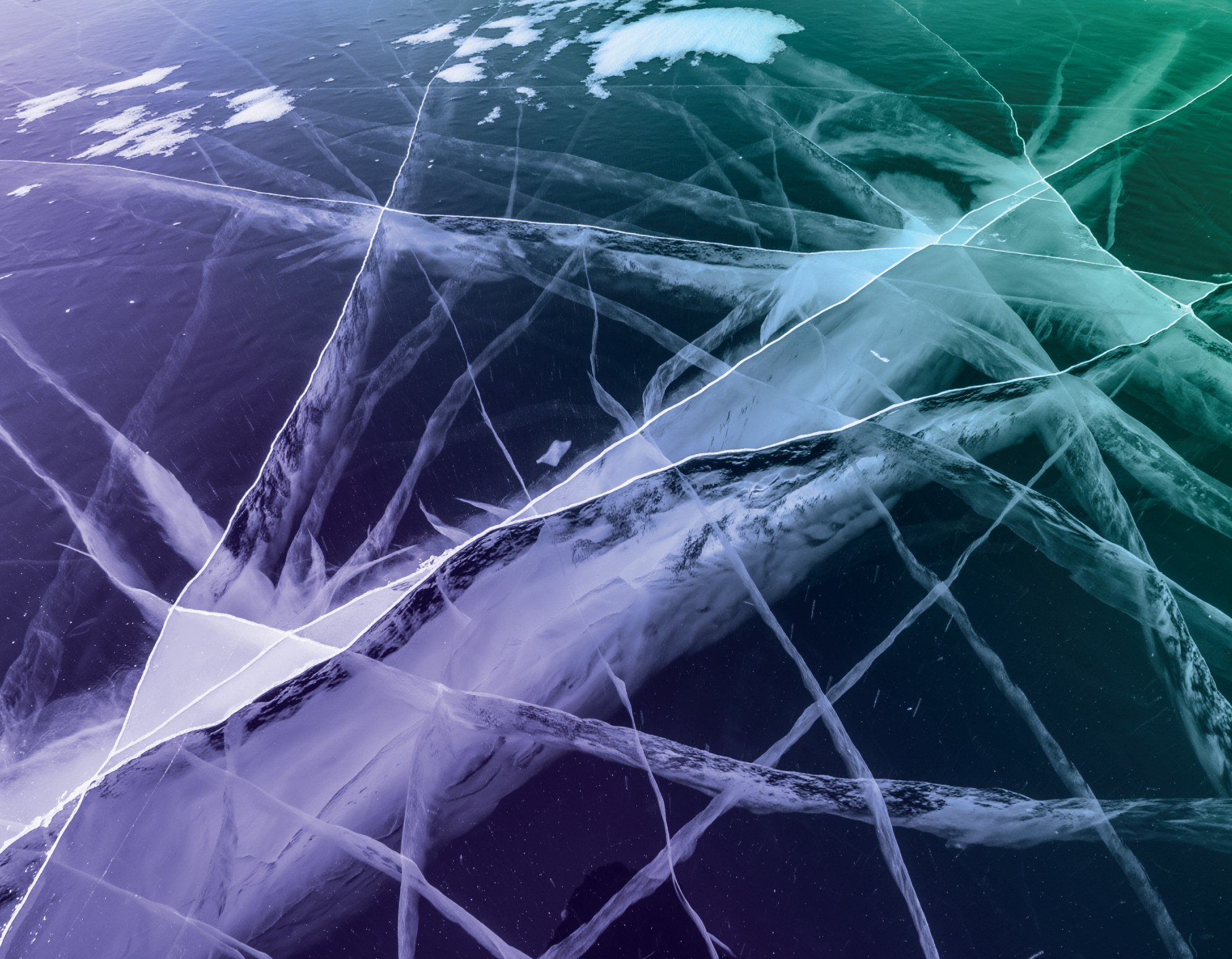 The Growing Antitrust Risk for Pricing Software Firms - Capstone DC