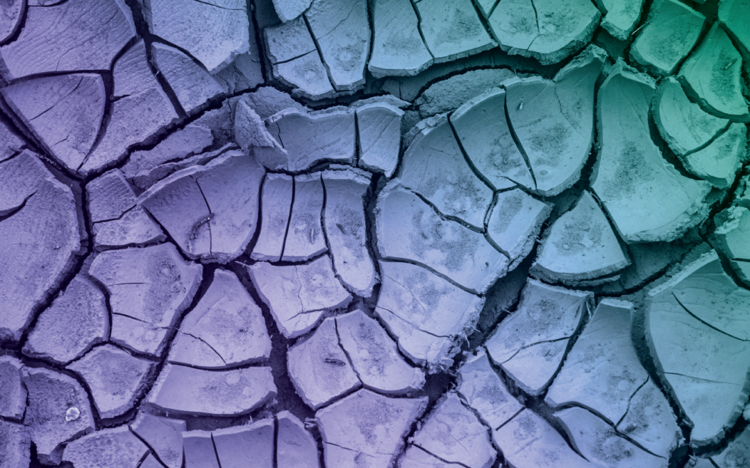 Cracks in Employer Insurance Create a New Market Opportunity