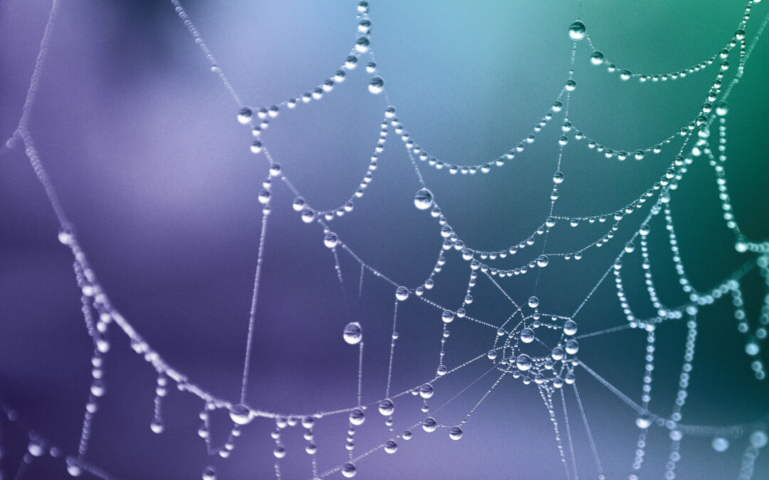 Third-Party Web Scrapers Poised to Benefit from Growing AI Training Data Demand