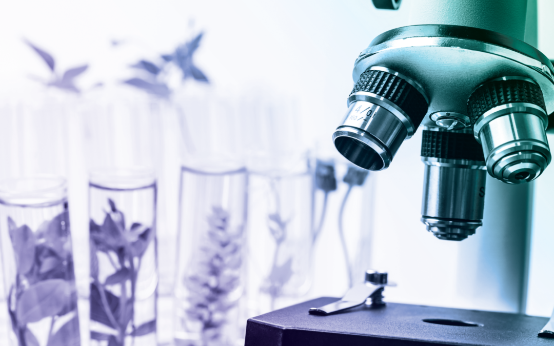 New Carbon Accounting Rules Put Agriculture and Biofuels Under the Microscope