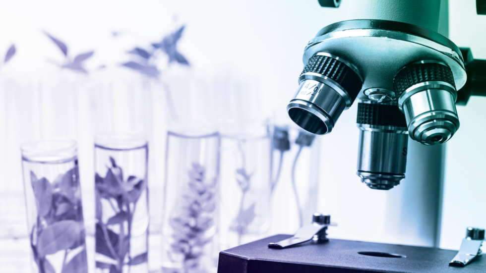 New Carbon Accounting Rules Put Agriculture and Biofuels Under the ...