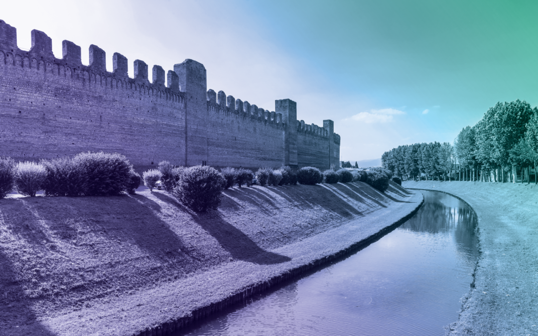 AI-Resistant Moats for Established Software Providers