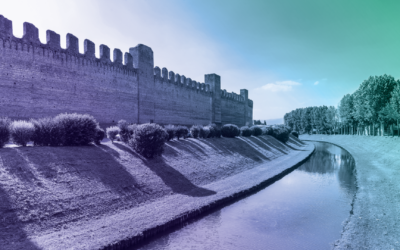 AI-Resistant Moats for Established Software Providers