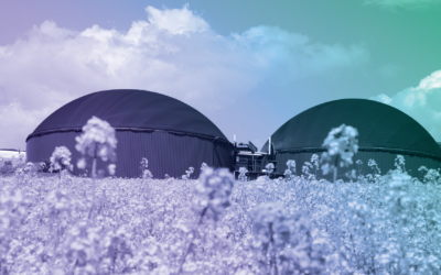 European Biomethane Tracker